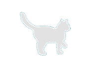 Cat with highlight around body icon