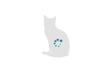 Cat with tummy highlighted icon