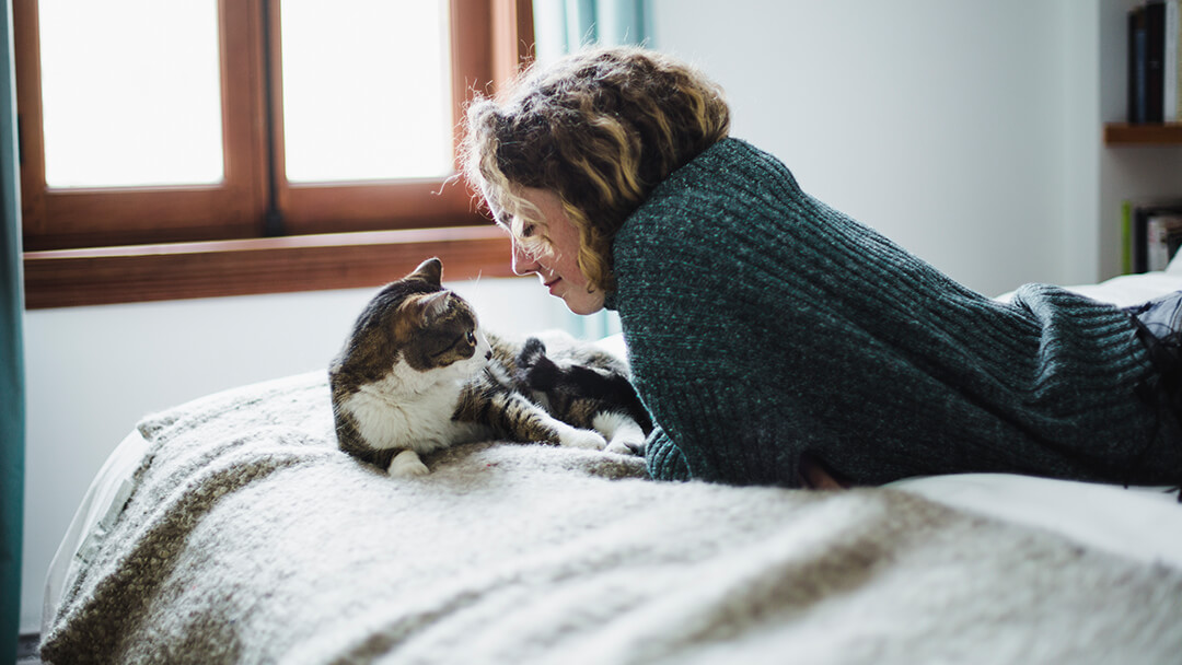 cat and woman laying on bed