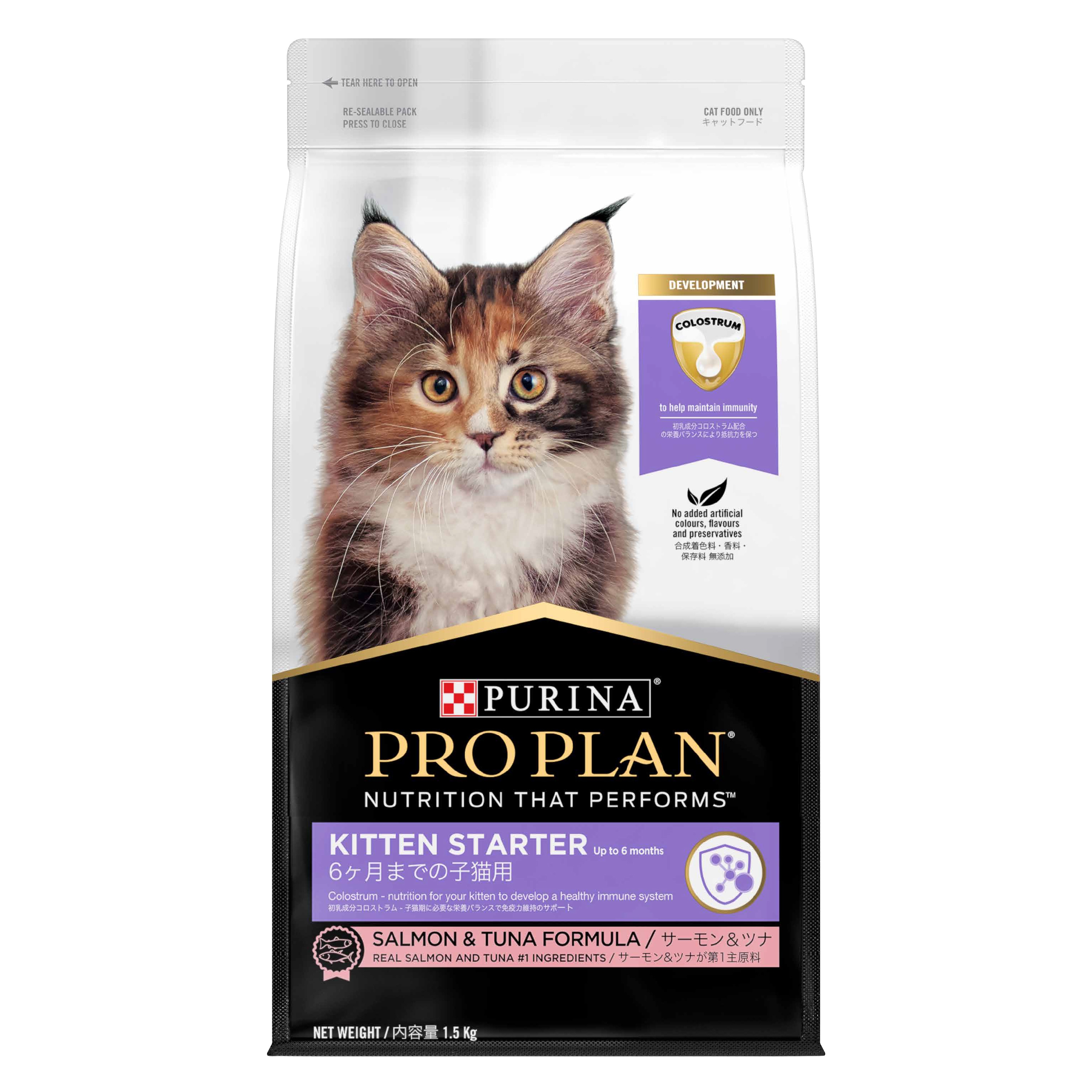 Pro plan kitten
