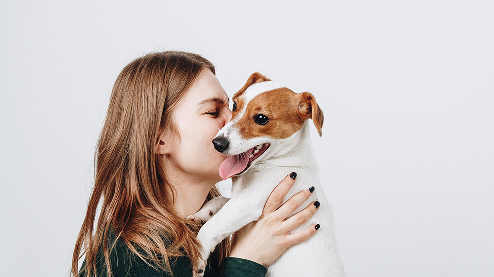 Rekomendasi Nama Anjing Betina Lucu