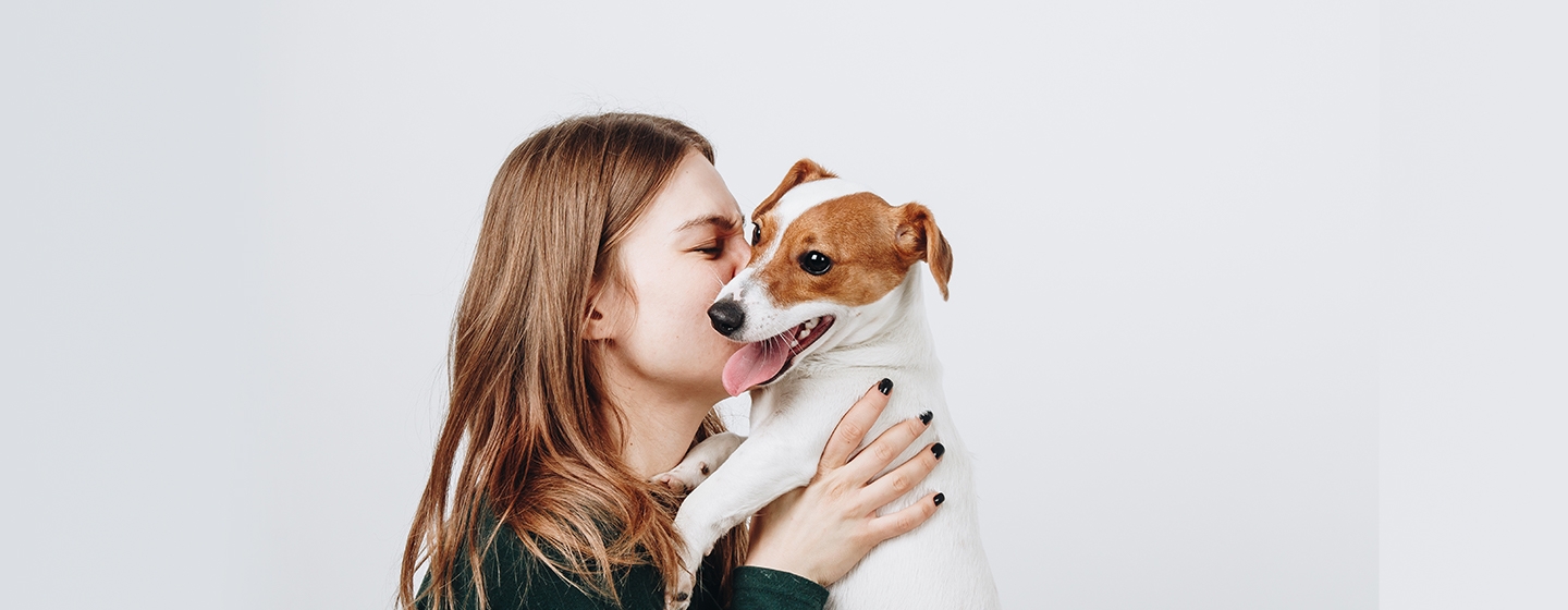 Rekomendasi Nama Anjing Betina Lucu