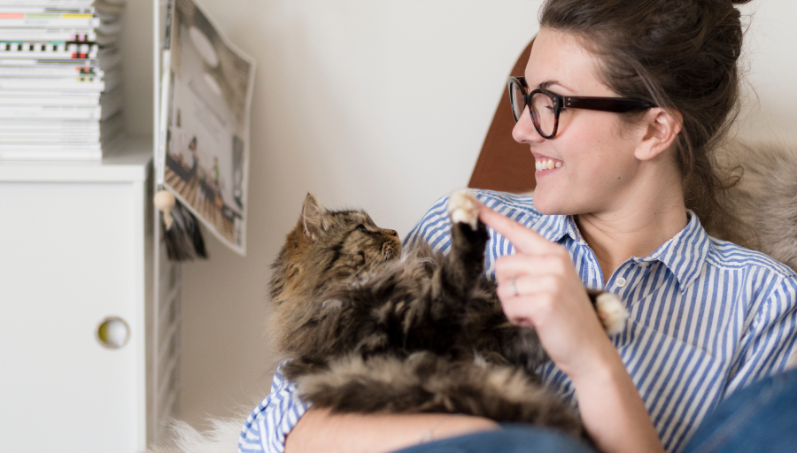 Seorang wanita bermain dengan seekor kucing