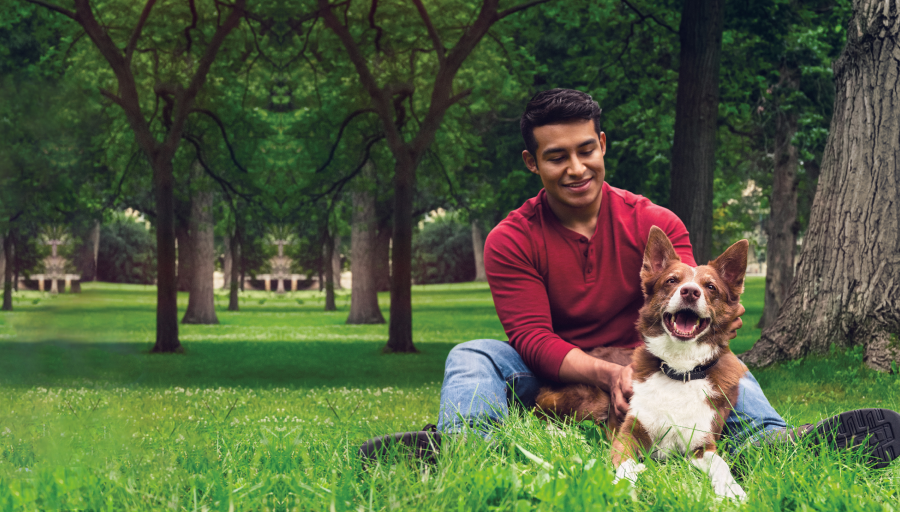 Seorang pria duduk di atas rumput bersama seekor anjing 