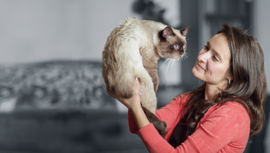 Seorang wanita memegang seekor kucing