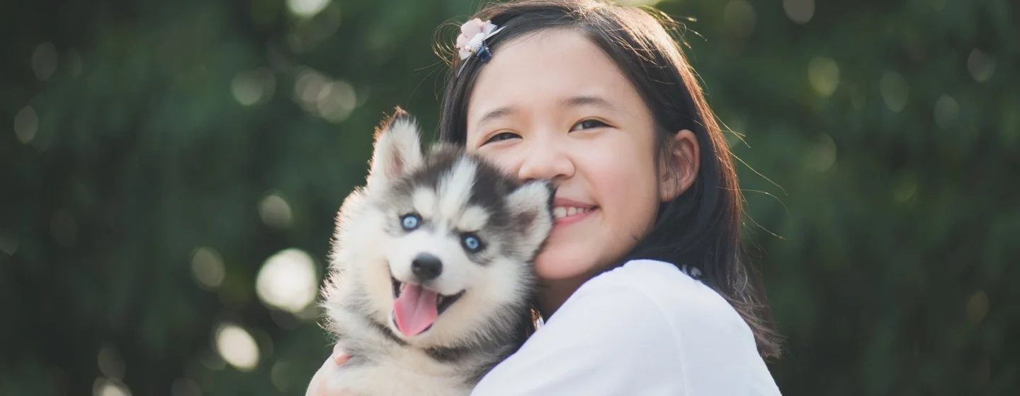 Inspirasi Nama Anjing Betina Korea yang Unik dan Lucu