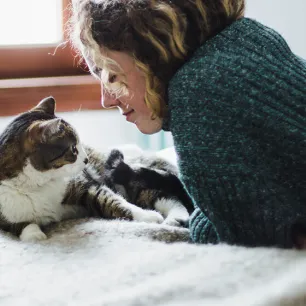 Makanan Kucing Rendah Magnesium Untuk Kesehatan Saluran Kemih