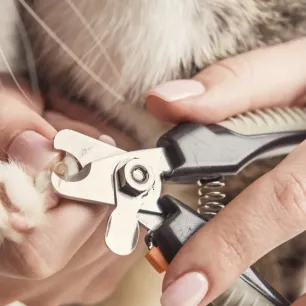 Clipping nails