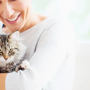 Jenis Makanan Kucing Setelah Steril