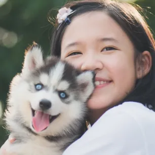 Inspirasi Nama Anjing Betina Korea yang Unik dan Lucu