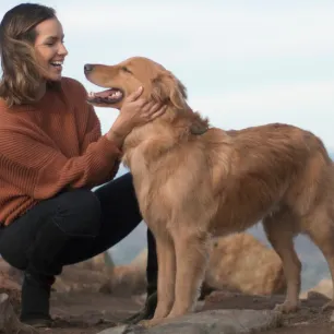 Medium-sized dog breeds