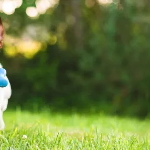 Terrier Dog Breeds Everything You Need to Know