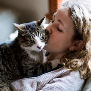 Jenis Kucing Penuh Kasih Sayang: Ras Kucing Paling Penyayang dan Ramah