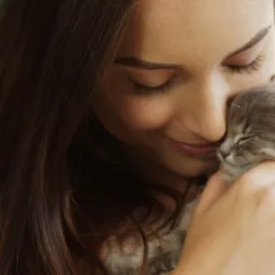 Cara Merawat Kitten Tanpa Induk Agar Tumbuh Sehat Yuk Simak