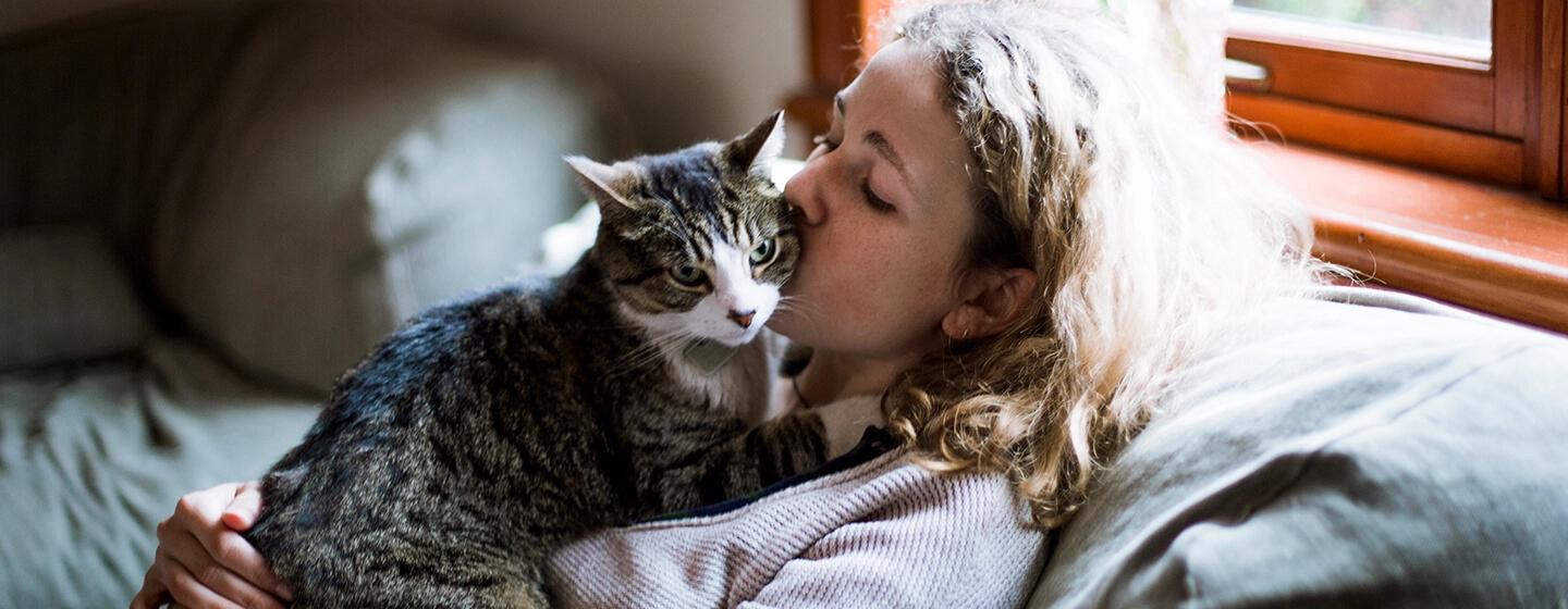 Jenis Kucing Penuh Kasih Sayang: Ras Kucing Paling Penyayang dan Ramah