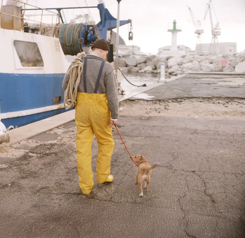 Man And Dog