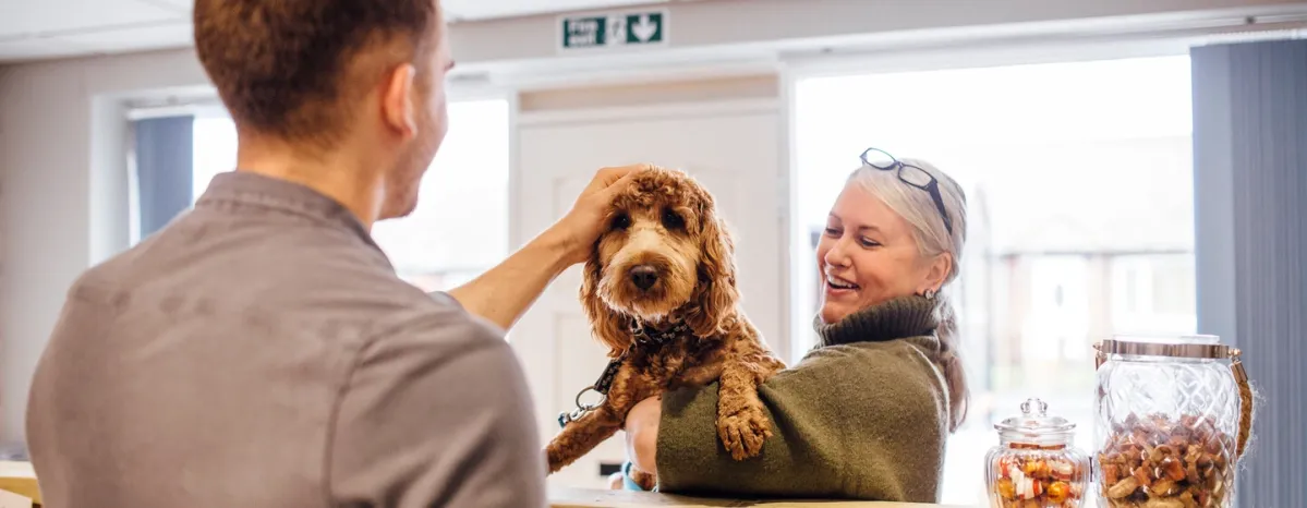 5 Hypoallergenic Dog Breeds