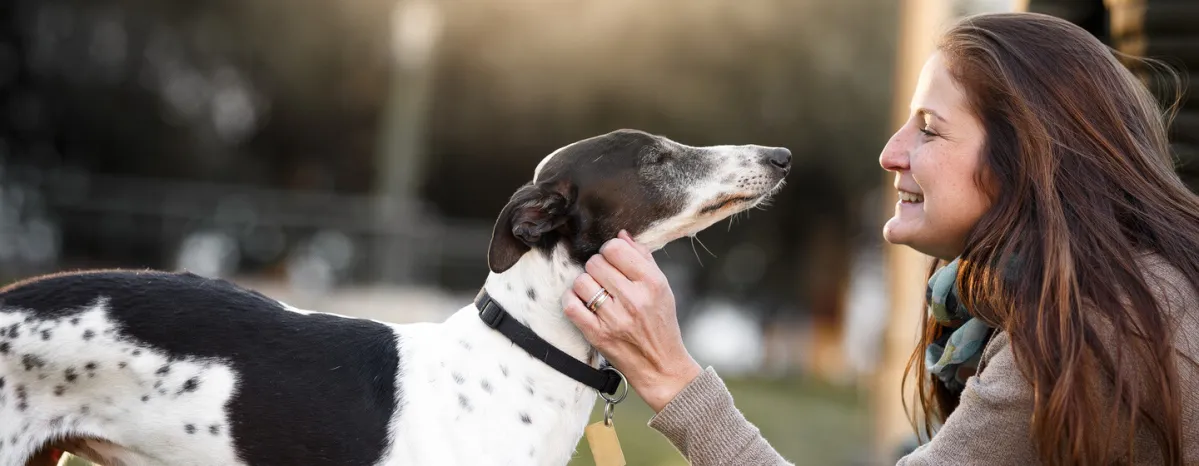 9 Low Shedding Dog Breeds