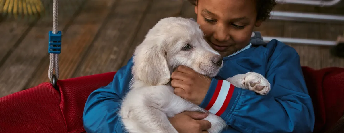 Dog cuddled by owner