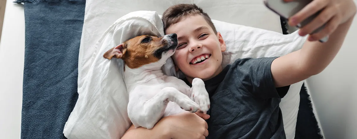 Dog with owner 