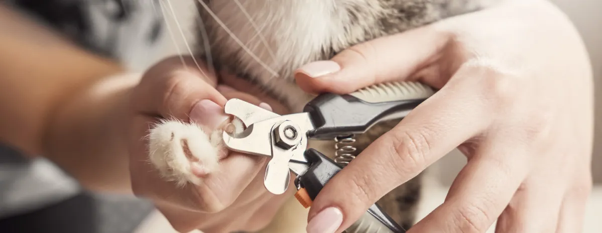 Clipping nails