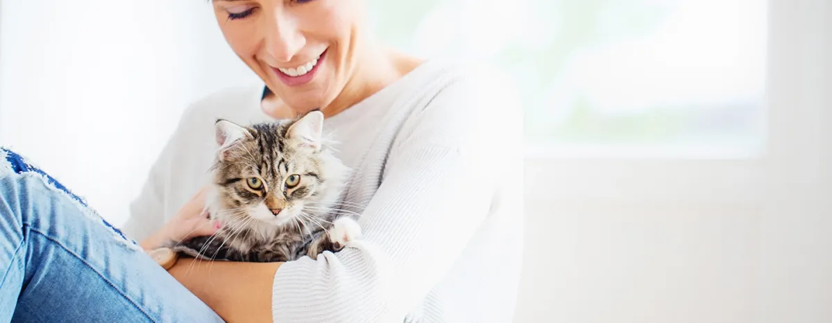 Jenis Makanan Kucing Setelah Steril