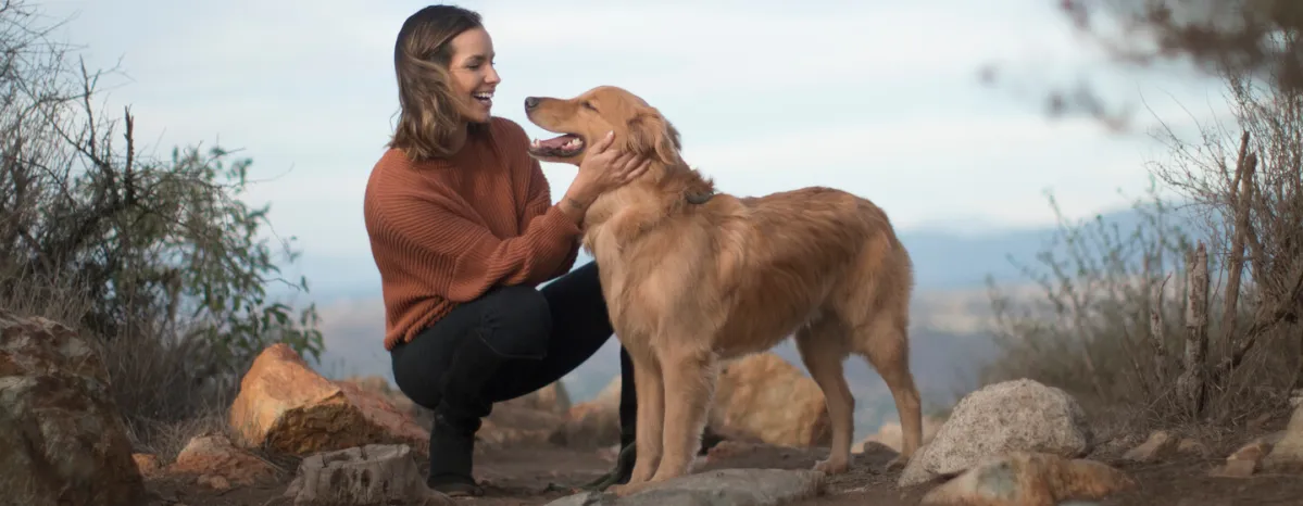 Medium-sized dog breeds