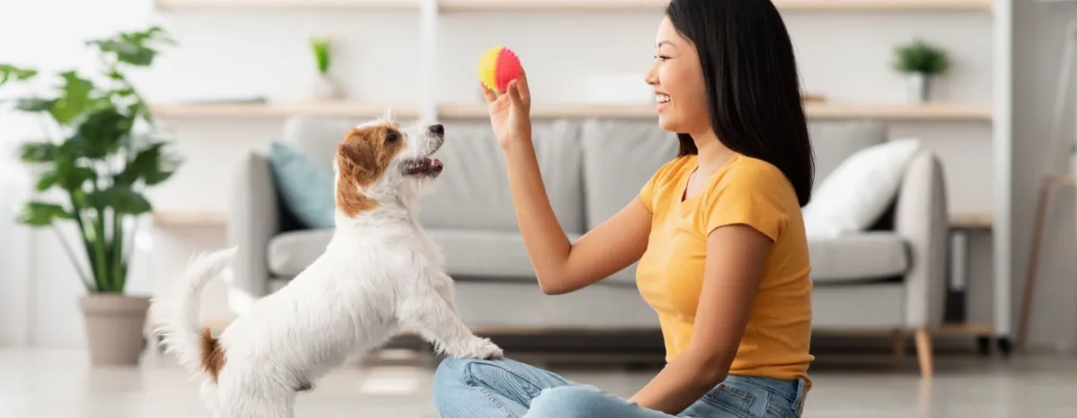 11. Cara Melatih Anjing_Teknik dan Tips untuk Anjing yang Patuh dan Bahagia