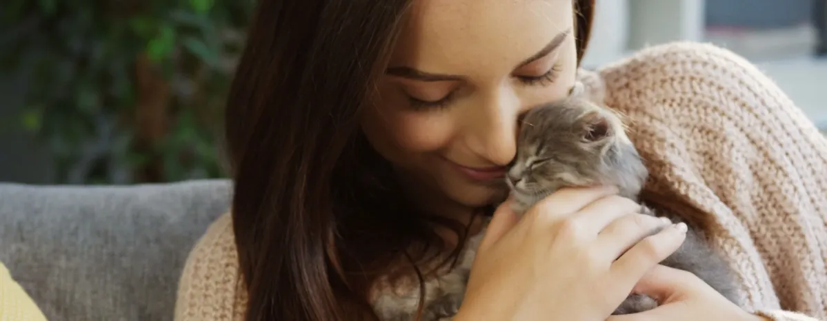 Cara Merawat Kitten Tanpa Induk Agar Tumbuh Sehat Yuk Simak