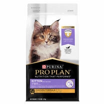 proplan kucing, proplan kitten, makanan kucing proplan