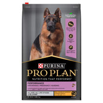 Purina ProPlan Performance 20Kg