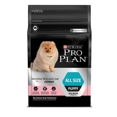 Pro Plan