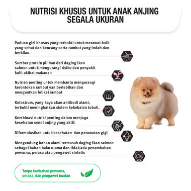 PRO PLAN All Size Puppy Sensitive Skin Coat Salmon Dry Dog Food