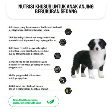PRO PLAN Dog Puppy Healthy Growth & Development Medium Chicken
