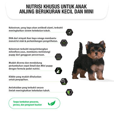 Dog Food Proplan Puppy Healthy Growth & Development Small & Mini Chicken