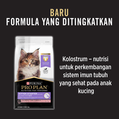 Proplan Kitten Starter Makanan Kering Anak Kucing Salmon & Tuna