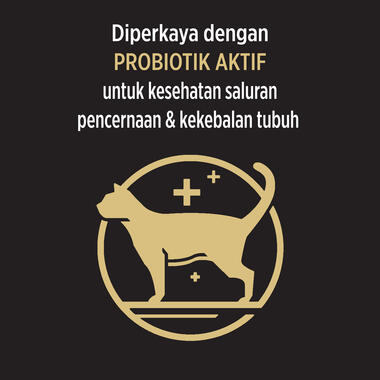 Proplan adult cat makanan kering kucing dewasa salmon