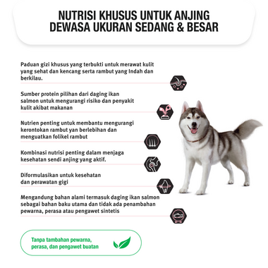 PRO PLAN Medium Large Adult Sensitive Skin Coat Salmon Dry Dog Food