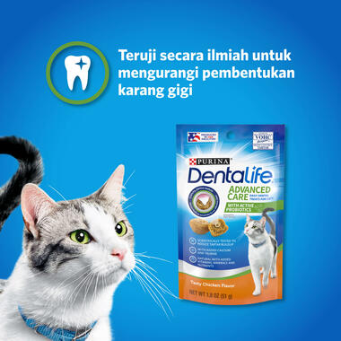 dentalife cat, clavis carousel 1