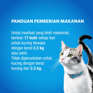 dentalife cat, clavis carousel 3