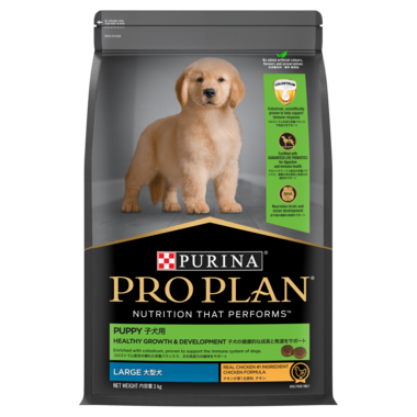 PP Pup Large 3kg(AUS)- 12519174