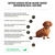 PRO PLAN Dog Adult 7+ Bright Mind Small & Mini Chicken