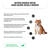 PRO PLAN Dog Puppy Sensitive Digestion All Size Lamb