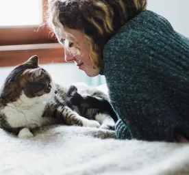 Makanan Kucing Rendah Magnesium Untuk Kesehatan Saluran Kemih