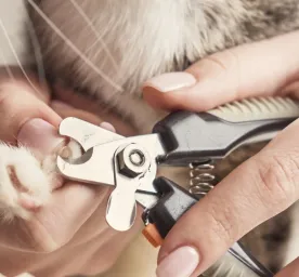 Clipping nails