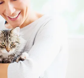 Jenis Makanan Kucing Setelah Steril