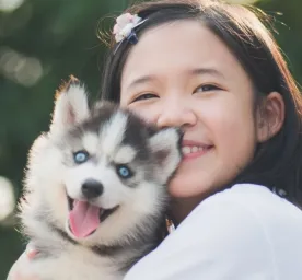 Inspirasi Nama Anjing Betina Korea yang Unik dan Lucu