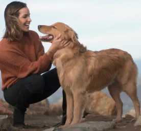 Medium-sized dog breeds