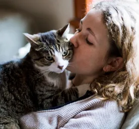 Jenis Kucing Penuh Kasih Sayang: Ras Kucing Paling Penyayang dan Ramah