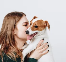 Rekomendasi Nama Anjing Betina Lucu